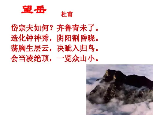 《雨中登泰山》