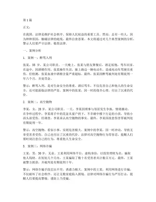 触碰法律难逃的案例警示(3篇)