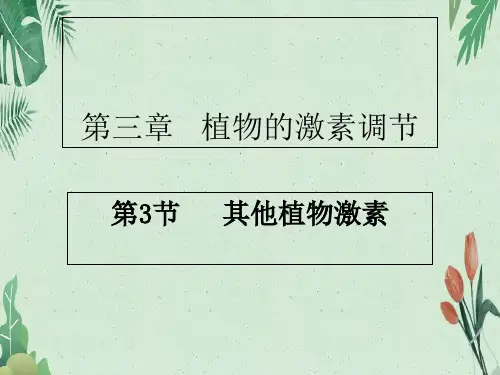 高中生物必修三第3章第3节  其他植物激素  课件.(共21张PPT)(完美版课件)