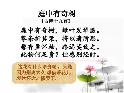 《涉江采芙蓉》精品课件 优秀教师公开课课件
