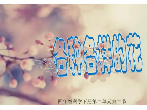 四年级科学下册《各种各样的花》PPT(教科版)
