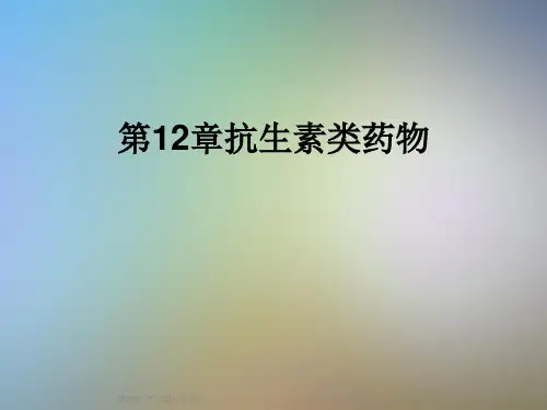 第12章抗生素类药物