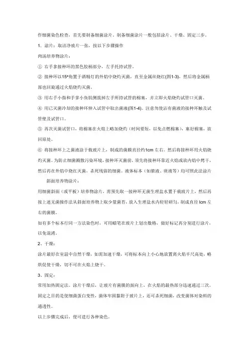 细菌的染色检查法