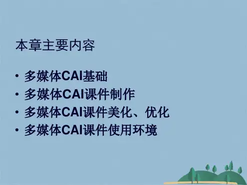 第一章 多媒体CAI课件制作入门(共75张PPT)