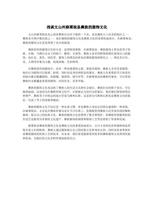 浅谈文山州麻栗坡县彝族的服饰文化