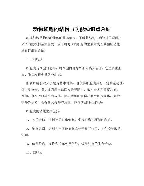 动物细胞的结构与功能知识点总结