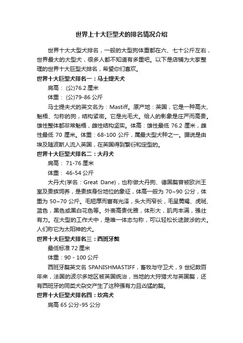 世界上十大巨型犬的排名情况介绍