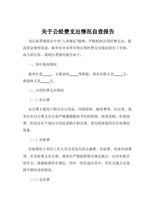 关于公经费支出情况自查报告