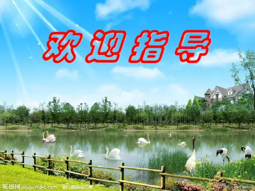 《生长素的生理作用》一轮复习课(共38张PPT)