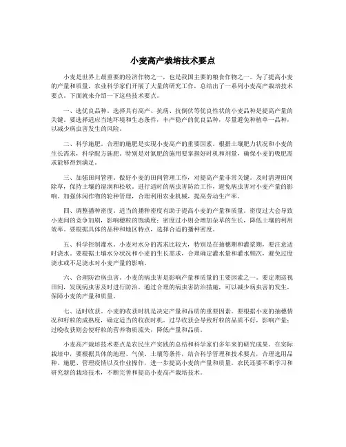 小麦高产栽培技术要点