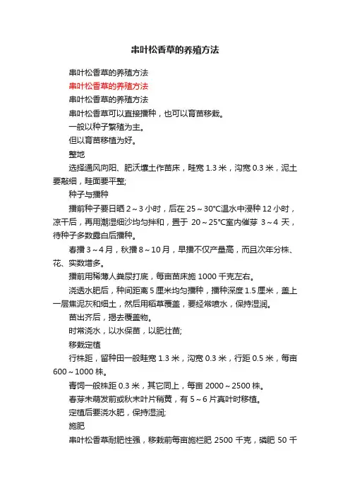 串叶松香草的养殖方法
