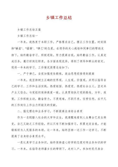 乡镇工作总结