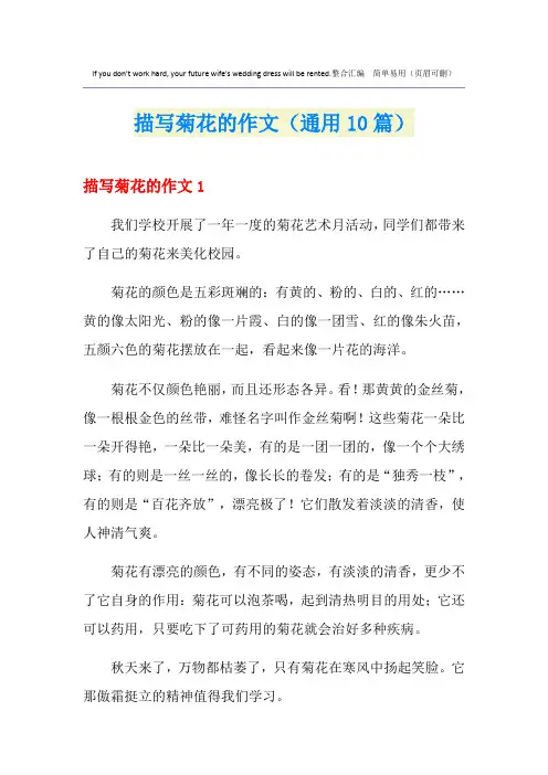 描写菊花的作文(通用10篇)