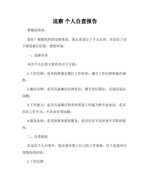 巡察 个人自查报告