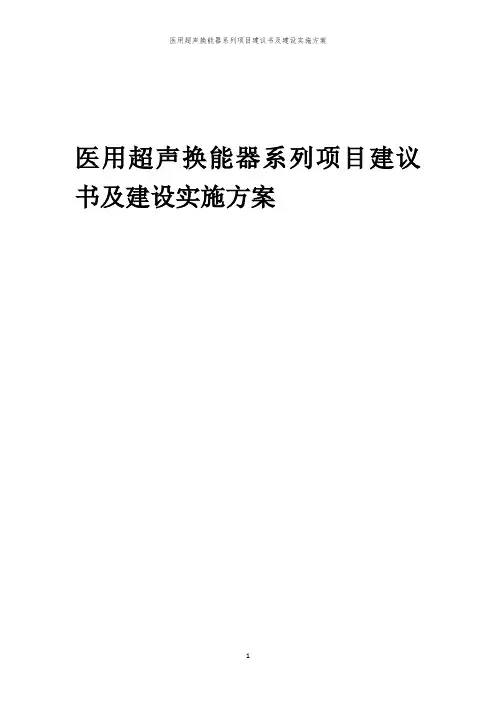 2024年医用超声换能器系列项目建议书及建设实施方案