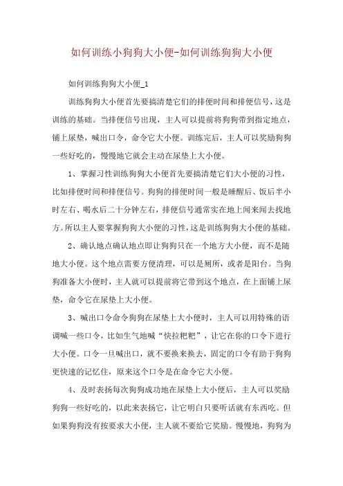 如何训练小狗狗大小便-如何训练狗狗大小便