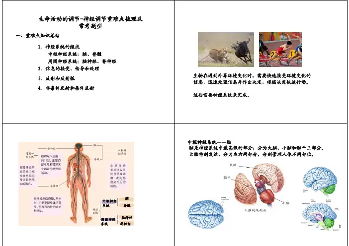 生命活动的调节-神经调节重难点梳理及常考题型