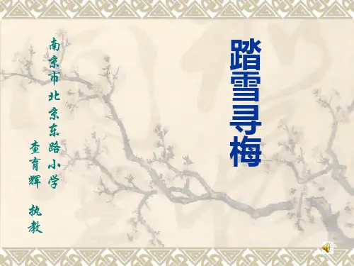 苏少版小学五年级音乐踏雪寻梅精品课件