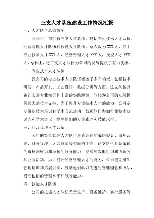 三支人才队伍建设工作情况汇报