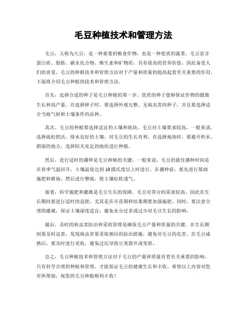 毛豆种植技术和管理方法