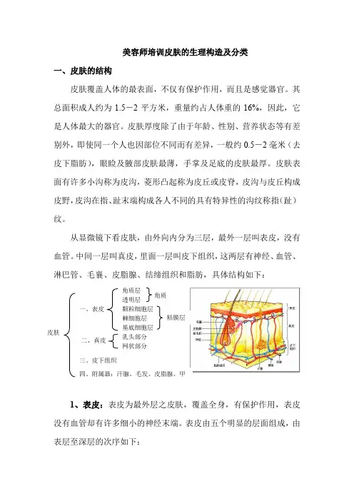 美容师培训皮肤的生理构造及分类