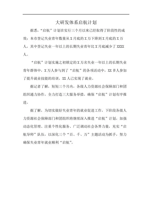 大研发体系启航计划