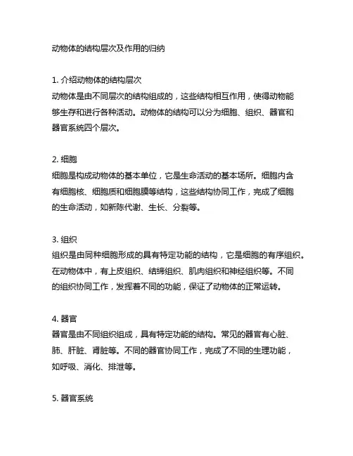 动物体的结构层次及作用的归纳