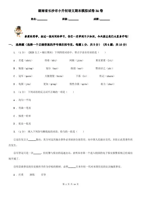 湖南省长沙市小升初语文期末模拟试卷3A卷