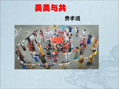 美美与共ppt