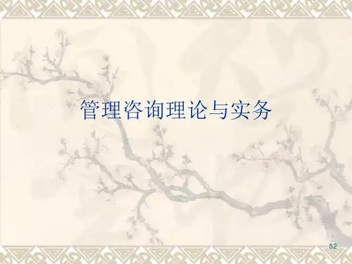 管理咨询理论与实务ppt课件