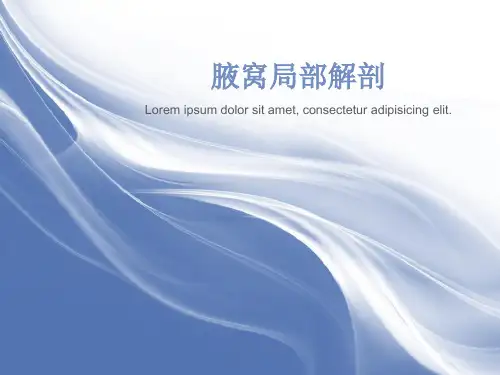 腋窝局部解剖