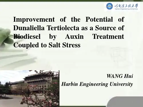 研究生英语演讲presentation