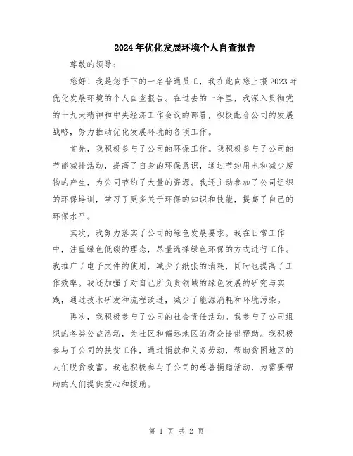 2024年优化发展环境个人自查报告