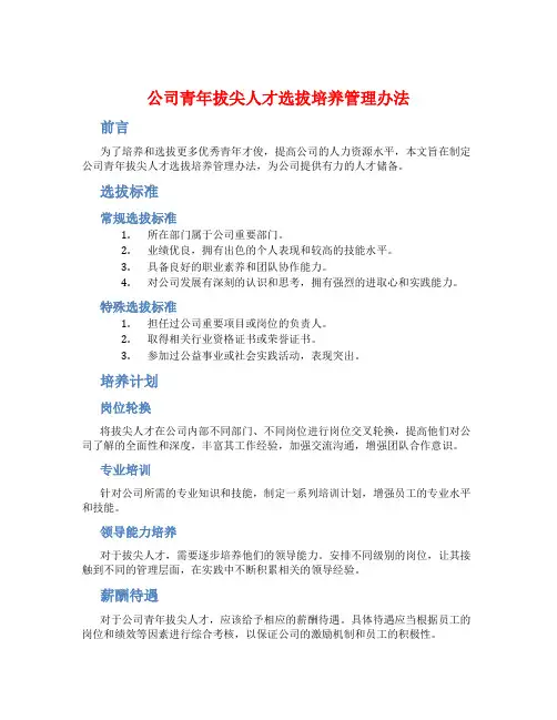 公司青年拔尖人才选拔培养管理办法