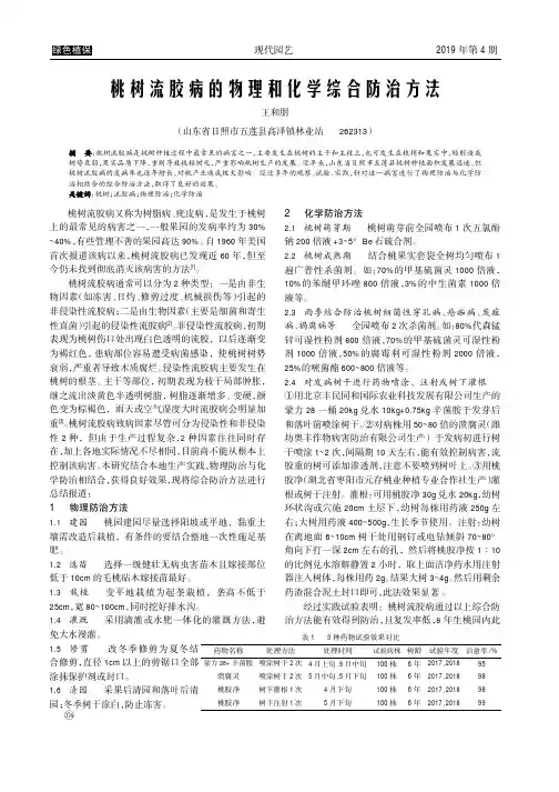 桃树流胶病的物理和化学综合防治方法