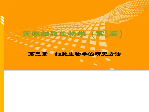 细胞生物学研究方法
