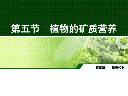 第五节  植物的矿质营养精品PPT课件