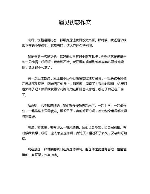 遇见初恋作文