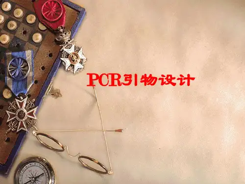 PCR引物设计
