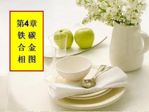 4铁碳合金相图