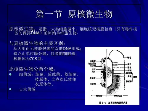 第三章--微生物细胞的结构与功能-幻灯片