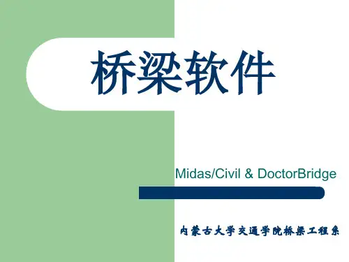 迈达斯课件