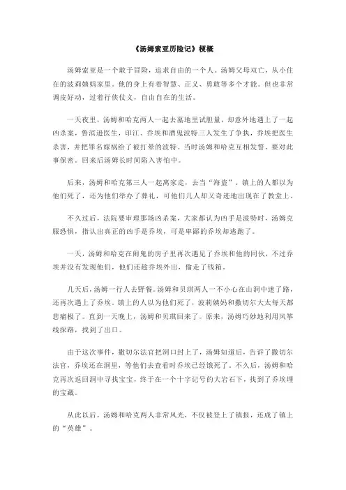 《汤姆索亚历险记》梗概