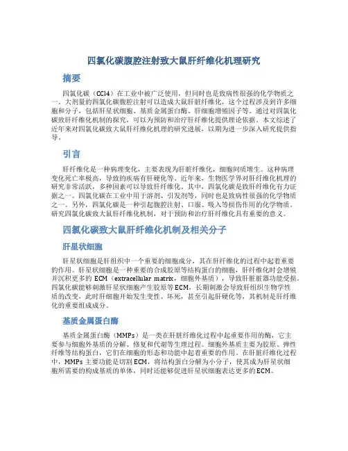 四氯化碳腹腔注射致大鼠肝纤维化机理研究