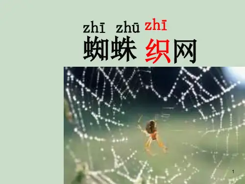 蜘蛛织网ppt课件