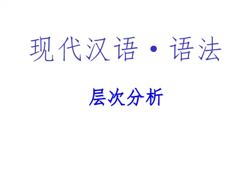 现代汉语·语法-层次分析