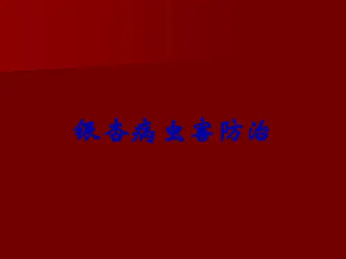 银杏病虫害防治