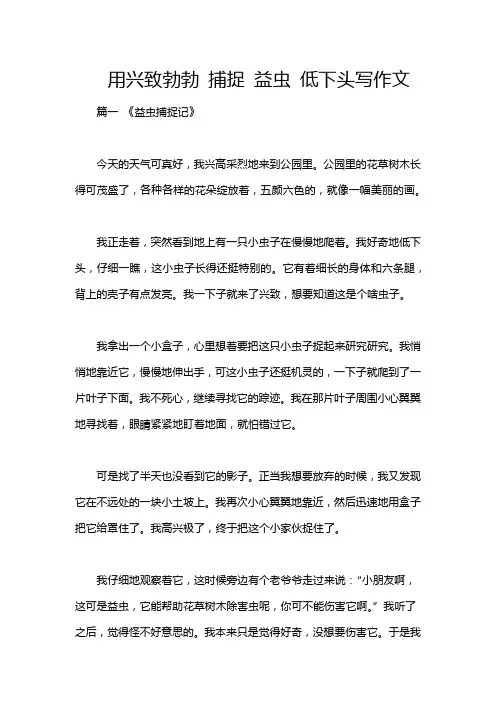 用兴致勃勃 捕捉 益虫 低下头写作文