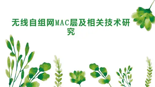 无线自组网MAC层及相关技术研究