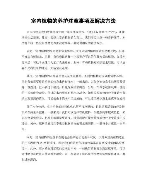 室内植物的养护注意事项及解决方法